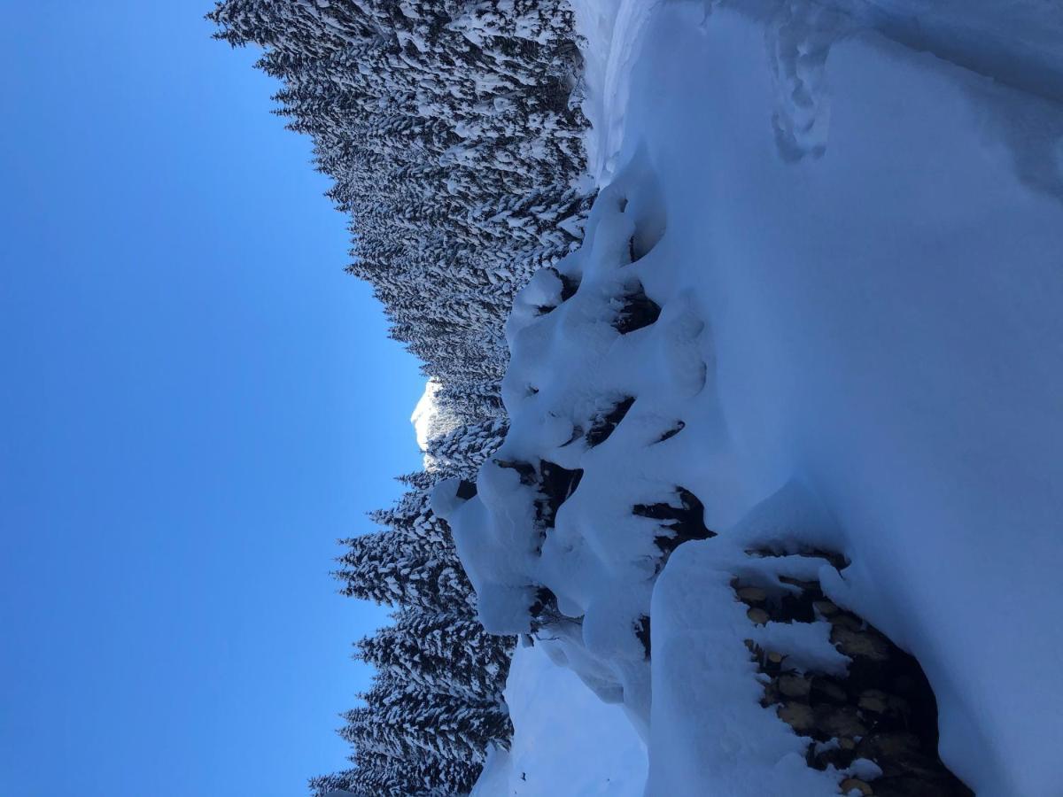 Alpapart - Innsbruck Ellbögen Esterno foto